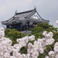 201504041251-DSC04735.jpg