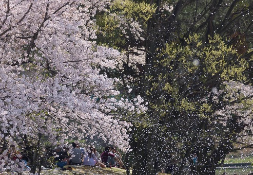 201504041253-DSC04744.jpg