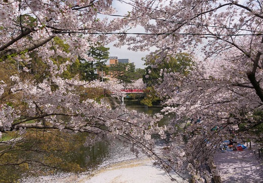 201504041301-DSC08086N6.jpg