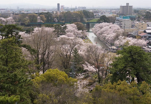 201504041317-DSC08100N6.jpg