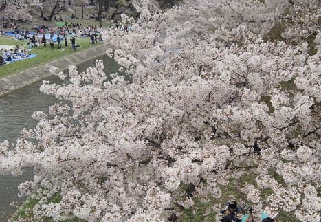 20150404134943-SH-06F.jpg