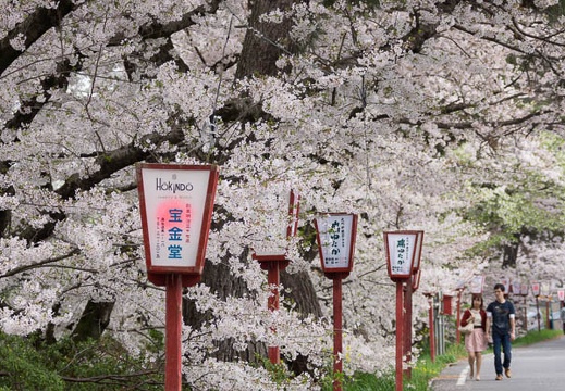 201504041422-DSC04859.jpg