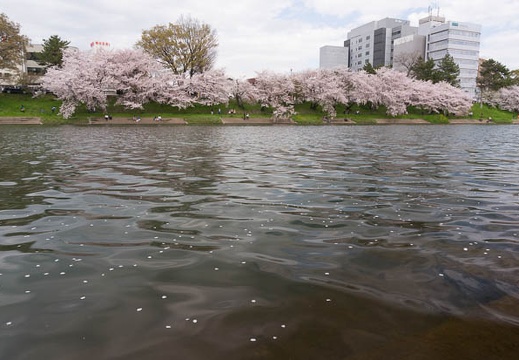 201504041426-DSC08149N6.jpg
