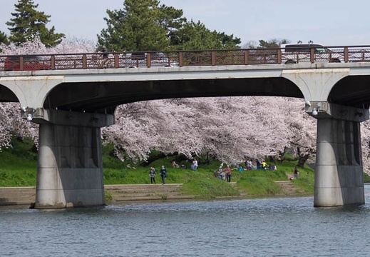 201504041429-DSC04872.jpg