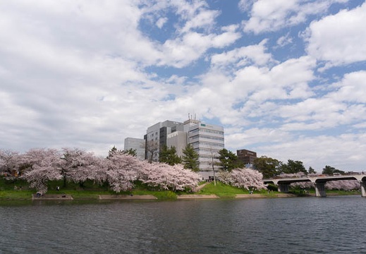 201504041429-DSC08164N6.jpg