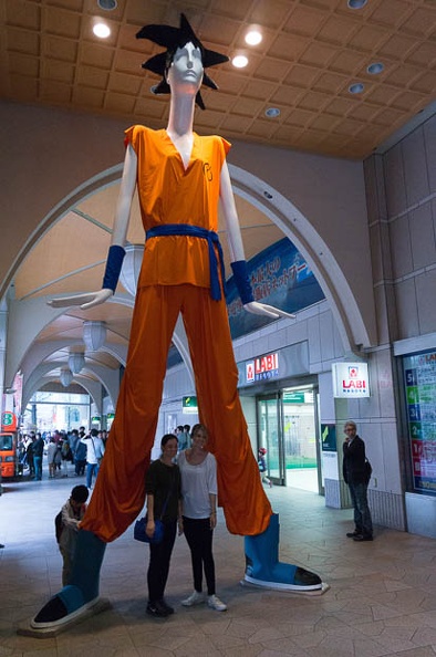 201504041543-DSC08194N6.jpg