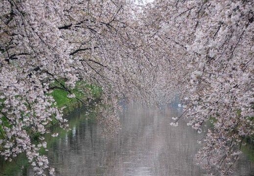 201504051251-DSC09699R10.jpg