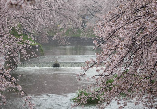 201504051334-DSC09822R10.jpg