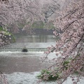201504051334-DSC09822R10.jpg