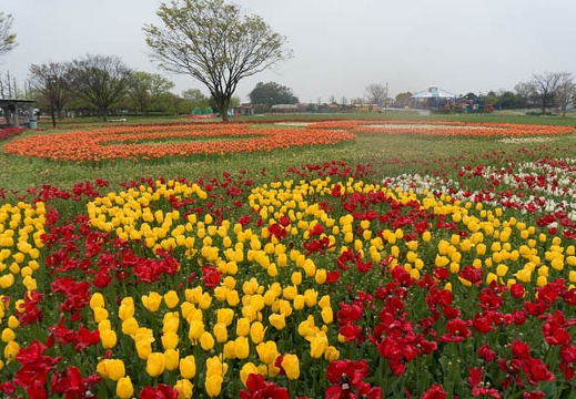201504101253-DSC08356N6.jpg