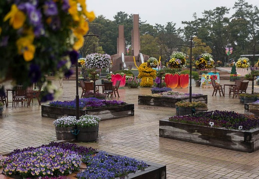 201504101321-DSC00800N5R.jpg