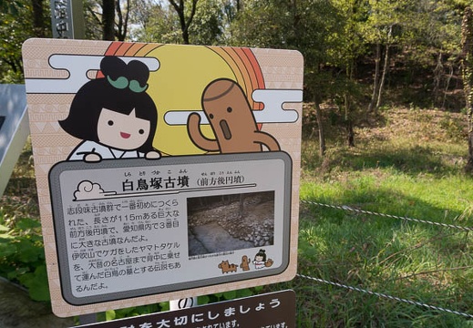 201504111340-DSC08590N6.jpg