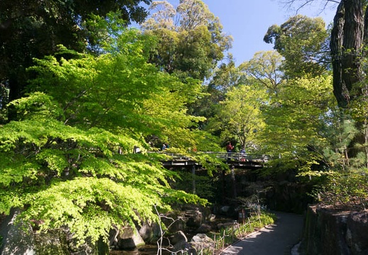 201504111541-DSC08610N6.jpg