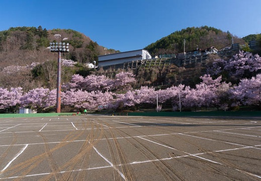 201504120724-DSC08636N6.jpg