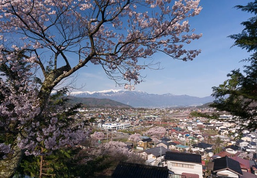 201504120758-DSC08666N6.jpg