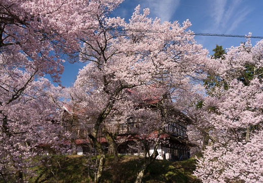 201504120817-DSC08680N6.jpg