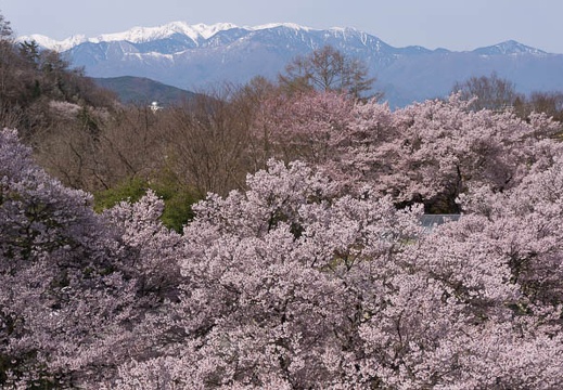 201504120858-DSC08692N6.jpg