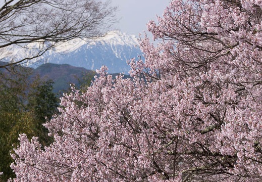 201504120952-DSC05529.jpg