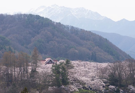 201504120952-DSC05530.jpg