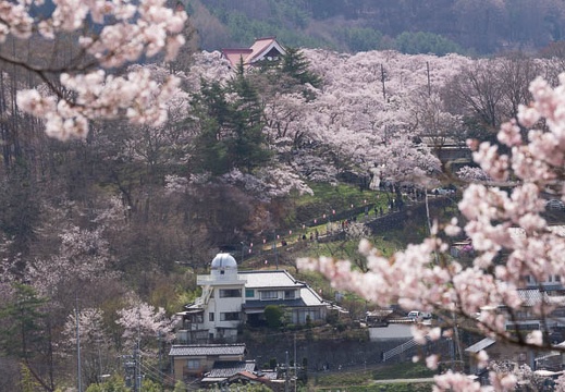 201504120955-DSC05539.jpg