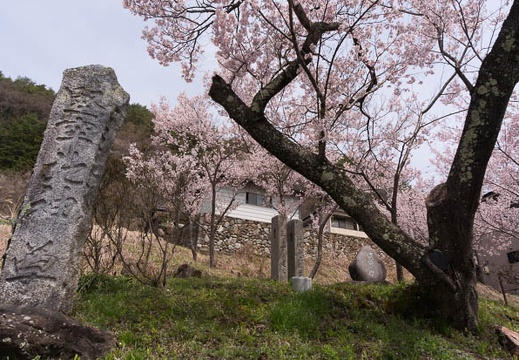 201504121051-DSC08769N6.jpg