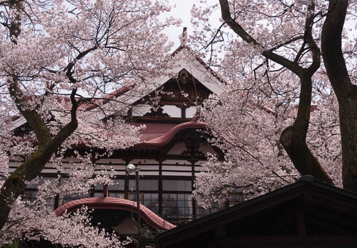 201504121139-DSC08778N6.jpg