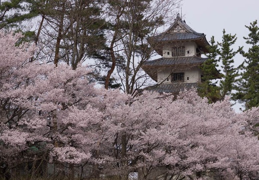 201504121356-DSC05715.jpg