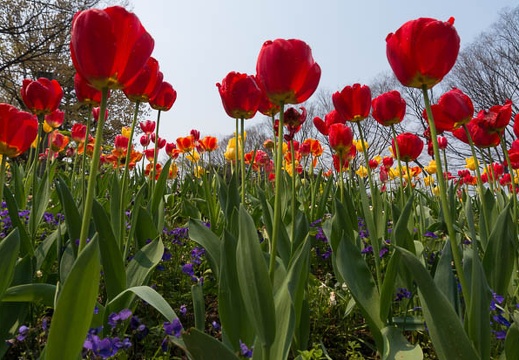 201504161218-DSC09087N6.jpg