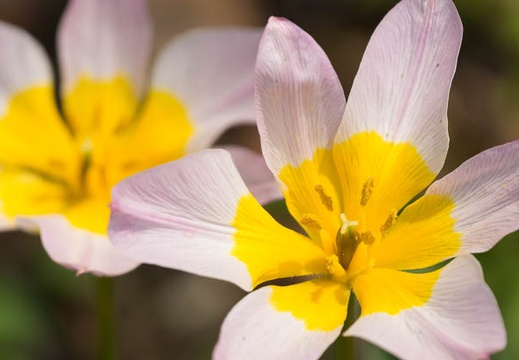 201504161225-DSC06085.jpg