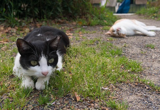 201504161323-DSC09114N6.jpg