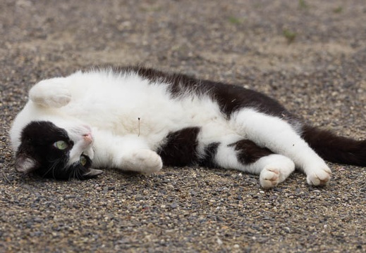 201504161355-DSC06247.jpg