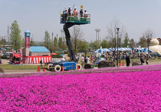 201504181149-DSC09177N6.jpg