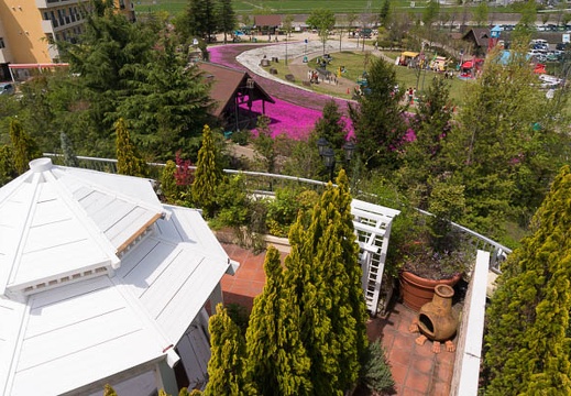 201504181233-DSC09229N6.jpg