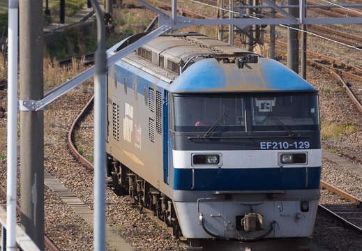 201504181505-DSC06595.jpg