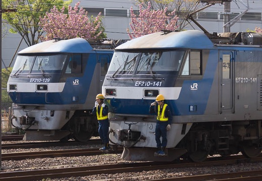201504181512-DSC06608.jpg