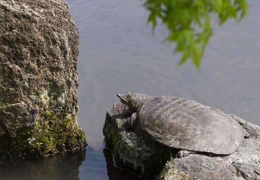 201504211408-DSC06834.jpg
