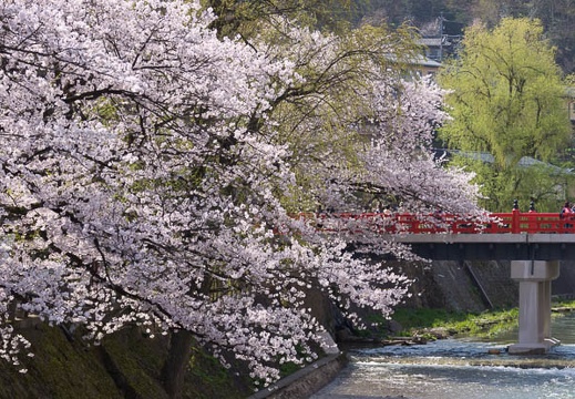 201504220859-DSC06862.jpg