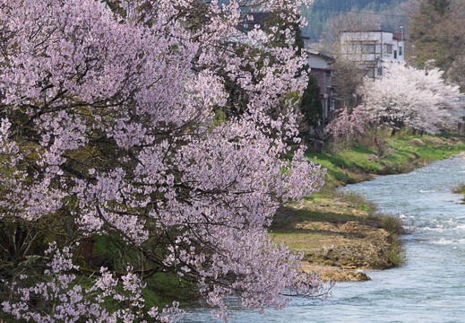 201504220922-DSC06892.jpg