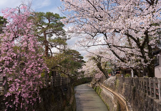 201504221047-DSC09589N6.jpg