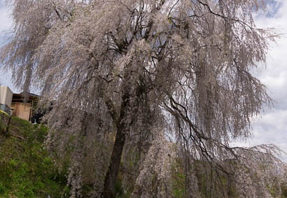 201504221201-DSC09652N6.jpg