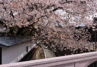201504221257-DSC09696N6.jpg