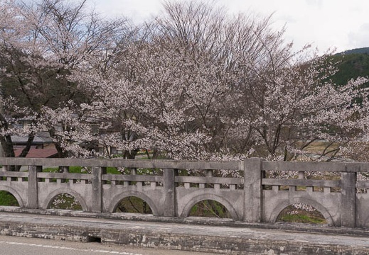 201504221359-DSC09711N6.jpg