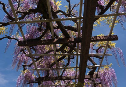 201504231041-DSC09857N6.jpg