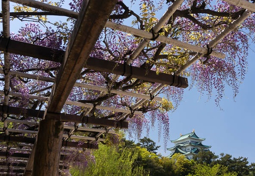 201504231108-DSC09894N6.jpg