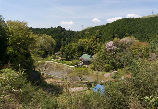 201504241120-DSC00029N6.jpg