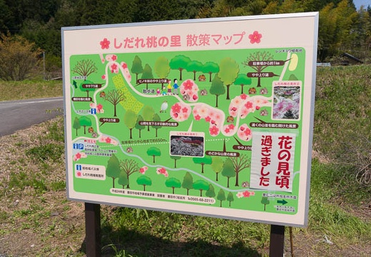 201504241123-DSC00031N6.jpg