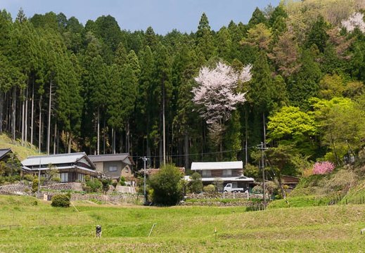 201504241130-DSC00034N6.jpg