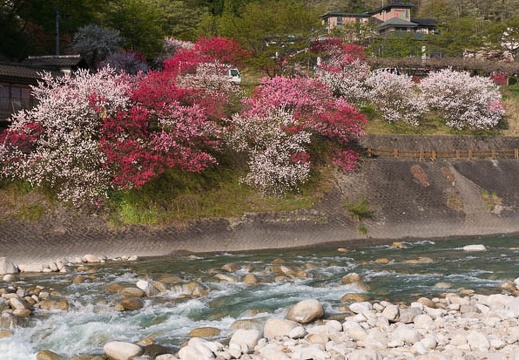 201504260721-DSC00245N6.jpg