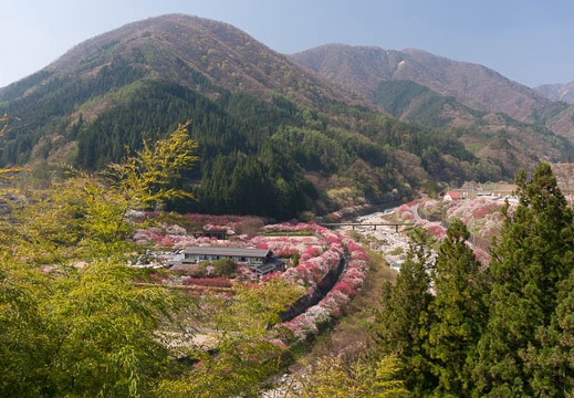 201504260846-DSC00355N6.jpg