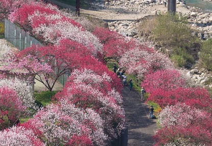 201504260856-DSC08127.jpg